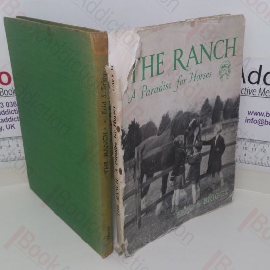 Picture of The Ranch: A Paradise for Horses