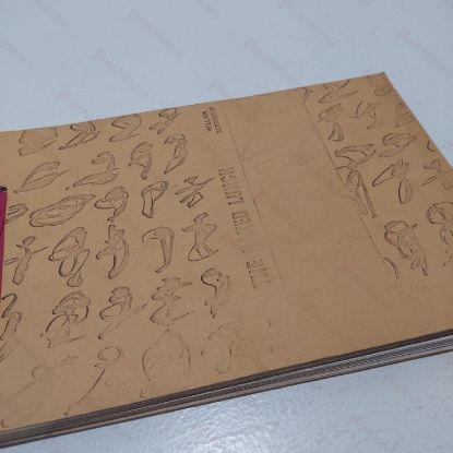 Picture of The Naked Lunch (Advance Readers Copy)