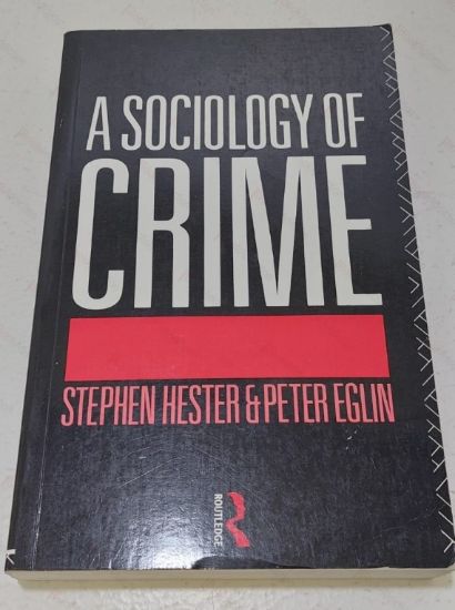 Picture of A Sociology of Crime