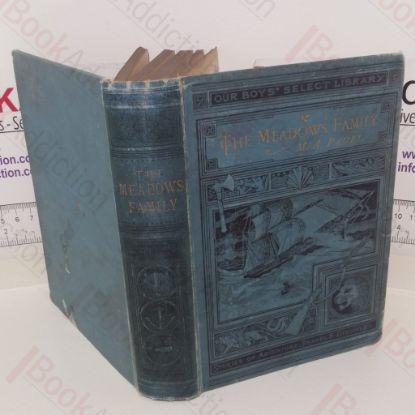 Picture of The Meadows Family; or, Fireside Stories of Adventure and Enterprise