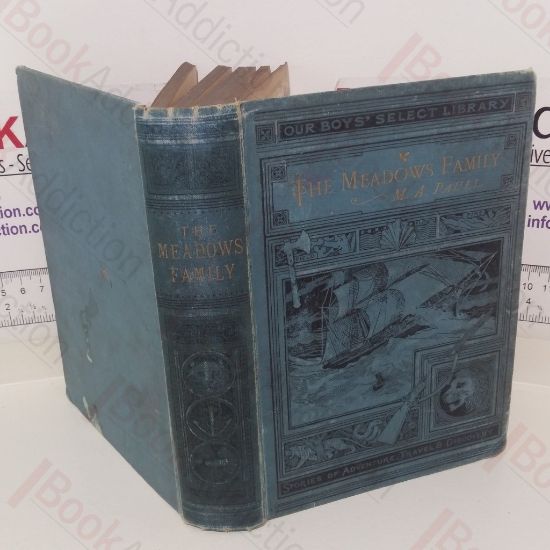 Picture of The Meadows Family; or, Fireside Stories of Adventure and Enterprise