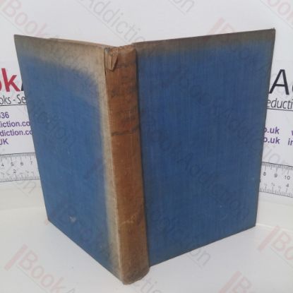 Picture of Sea Chase