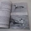 Picture of London Bird Report for 1987 (No.52)