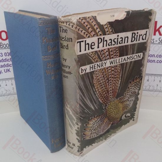 Picture of The Phasian Bird