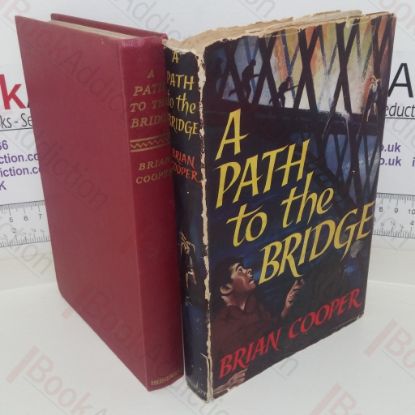 Picture of A Path to the Bridge
