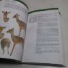 Picture of Bovids of the World: Antelopes, Gazelles, Cattle, Goats, Sheep, and Relatives (Princeton Field Guides, 104)