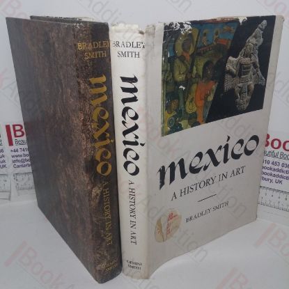 Picture of Mexico: A History in Art