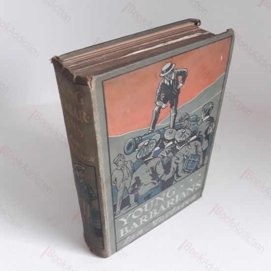 Picture of Young Barbarians