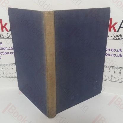 Picture of The Hundred and One Harlequins (New Readers Library, No. 43)