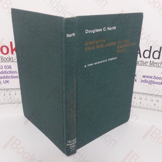 Picture of Growth and Welfare in the American Past: A New Economic History