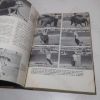 Picture of Barnaby Conrad's Encyclopedia of Bullfighting