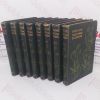 Picture of Familiar Wild Flowers, Series 1 to 8 (8 volumes)