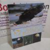 Picture of The North American Bald Eagle : A Collection of Twelve Prints