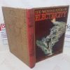 Picture of The Wonder Book of Electricity