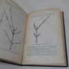 Picture of Trees: A Handbook of Forest-Botany for the Woodlands and the Laboratory; Volume 1, Buds and Twigs