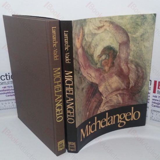 Picture of Michelangelo