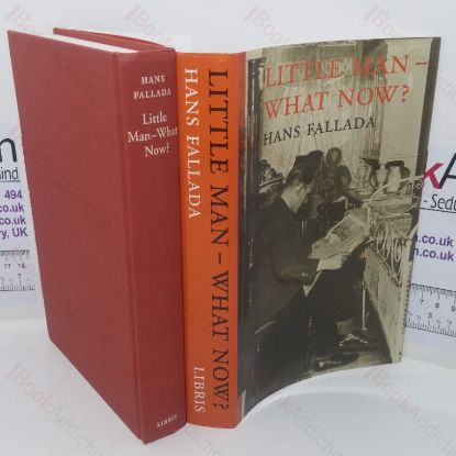 Picture of Little Man, What Now?