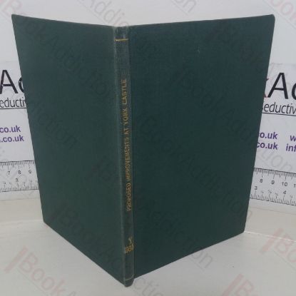 Picture of Information and Observations, Respecting the Proposed Improvements at York Castle