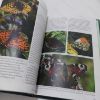 Picture of Butterflies of South West Scotland : An Atlas of Their Distribution