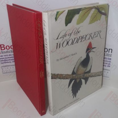 Picture of Life of the Woodpecker