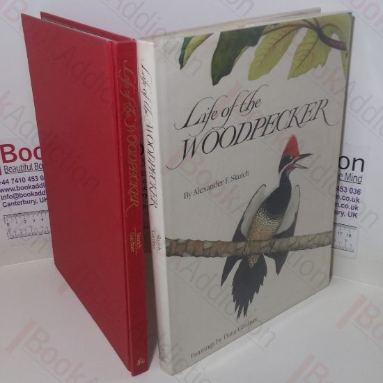 Picture of Life of the Woodpecker