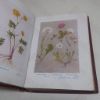 Picture of The Children's Book of Wild Flowers and the Story of Their Names (Volume I and II)
