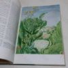 Picture of The World in Your Garden (National Geographic Natural Science Library)