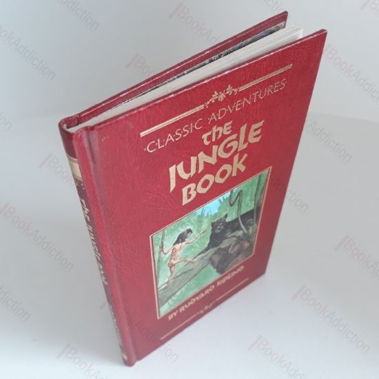 Picture of The Jungle Book (Classic Adventures Series)