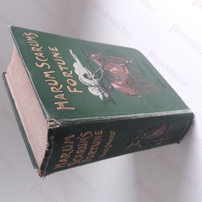 Picture of Harum Scarum's Fortune