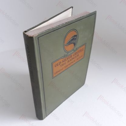 Picture of Old Silver Grizzle: The Badger and Other Stories from Wild Animals at Home, Being the Personal Histories of The Squirrel, The Rabbits and their Habits, Bears of High and Low Degree, The Cute Coyote, The Prairie-dog and Sneak-cats