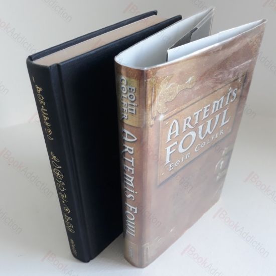 Picture of Artemis Fowl