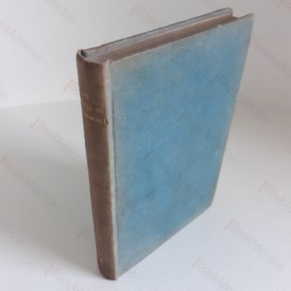 Picture of The House in Cornwall