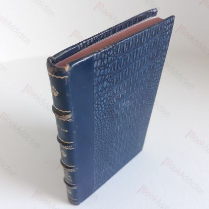 Picture of The Brave Bulls