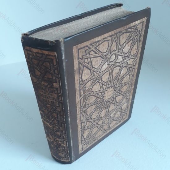 Picture of Home Life on an Ostrich Farm