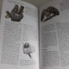 Picture of The Sibley Guide to Bird Life and Behavior (National Audubon Society)