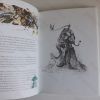 Picture of A Field Guide to Irish Fairies