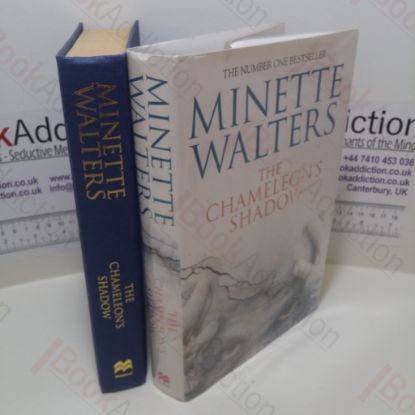 Picture of The Chameleon's Shadow (Signed)