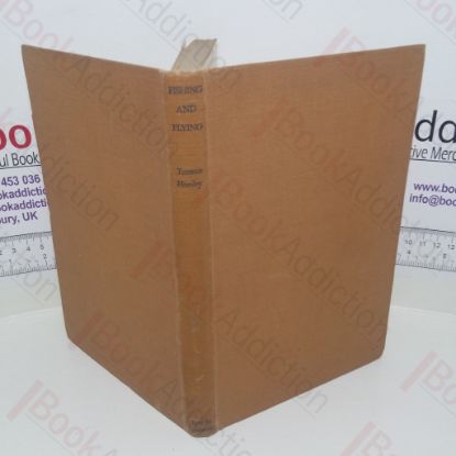 Picture of Fishing and Flying