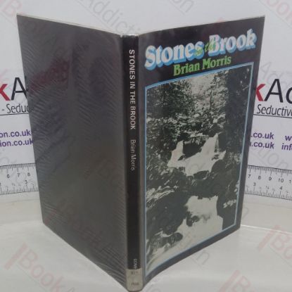 Picture of Stones in the Brook