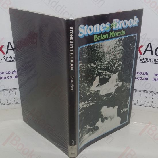 Picture of Stones in the Brook