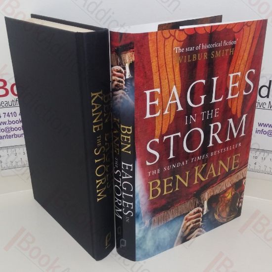 Picture of Eagles in the Storm