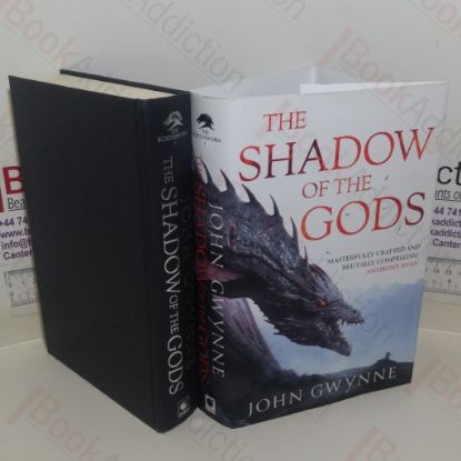 Picture of The Shadow of the Gods (The Bloodsworn Saga)