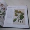 Picture of The Golden Age of Flowers: Botanical Illustration in the Age of Discovery 1600-1800