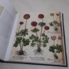 Picture of The Golden Age of Flowers: Botanical Illustration in the Age of Discovery 1600-1800
