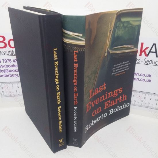 Picture of Last Evenings on Earth