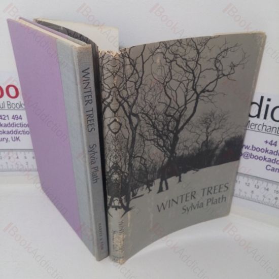 Picture of Winter Trees