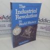 Picture of The Industrial Revolution in World History (Essays in World History series)