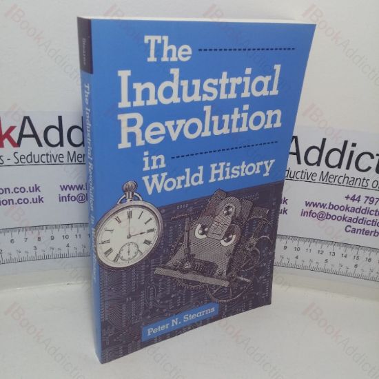 Picture of The Industrial Revolution in World History (Essays in World History series)