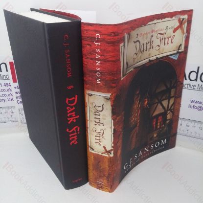 Picture of Dark Fire: A Novel