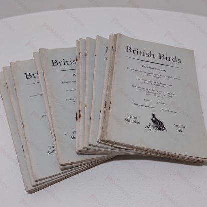 Picture of British Birds, Volume 56 (1963) : Twelve Monthly Issues plus a Ringing Supplement for 1963 and Comprehensive Index